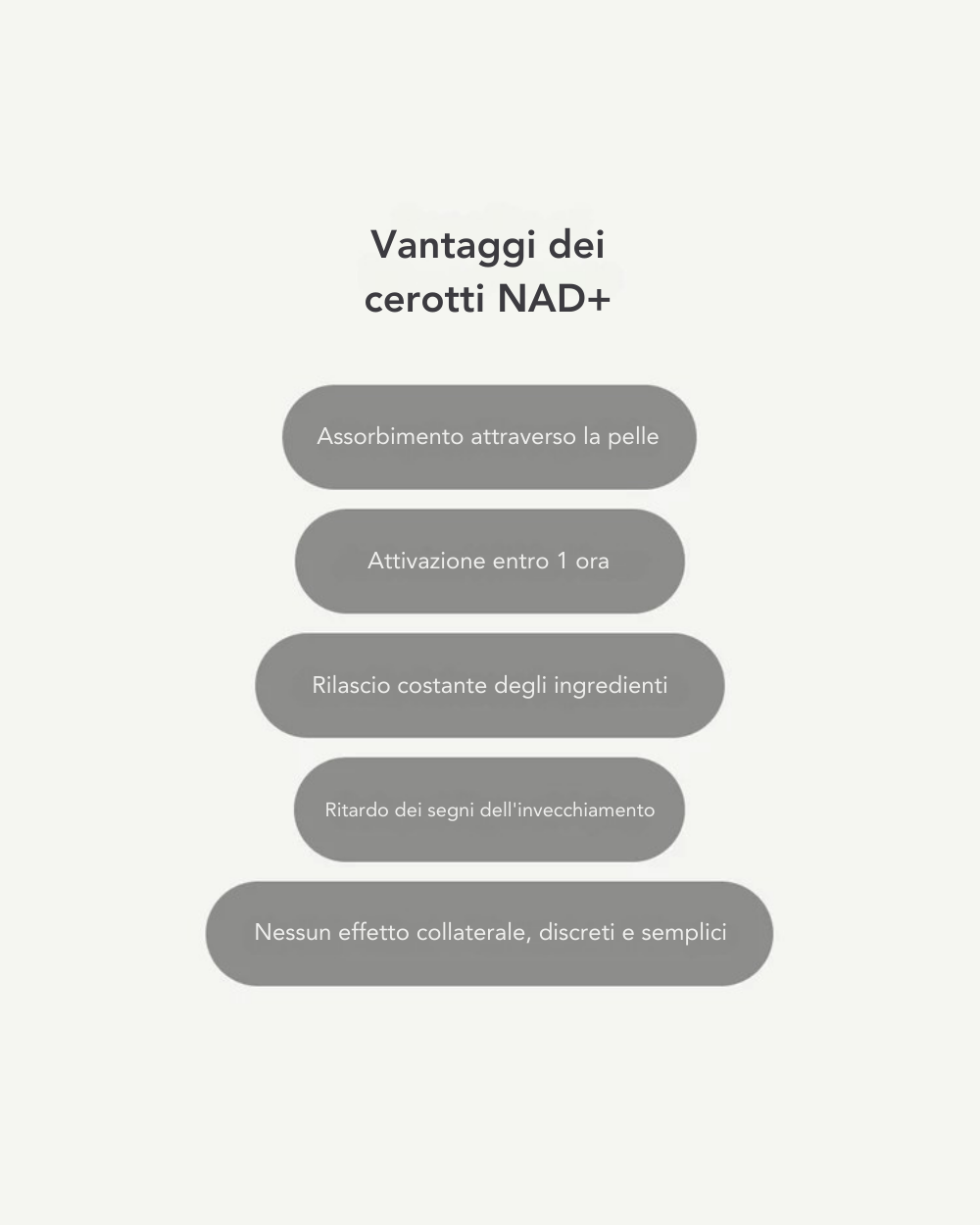Cerotti NAD+