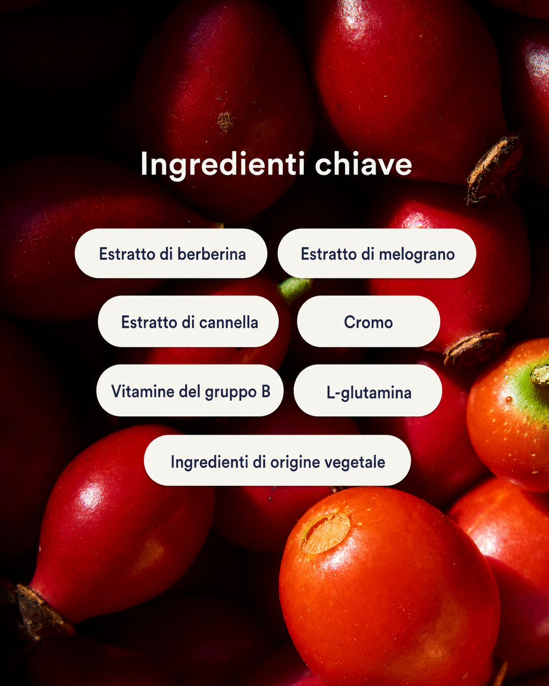 Cerotti alla Berberina Gentili™